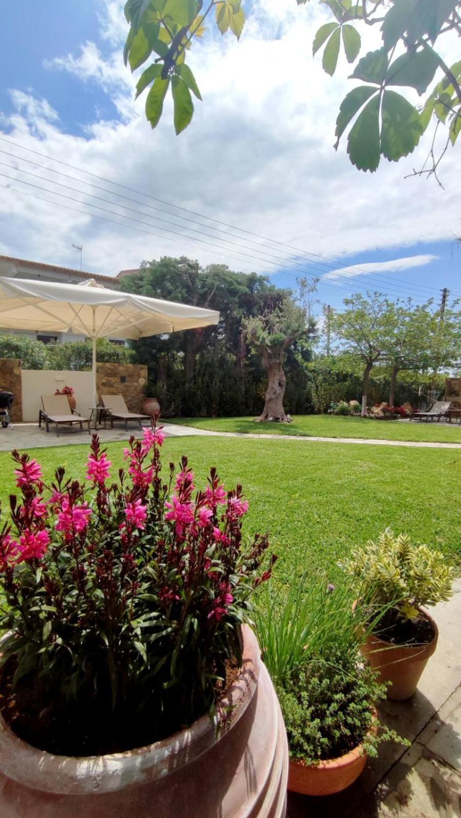 Coel Luxury Suites By Rentalspro Services - Potidea Halkidiki Неа-Потидеа Экстерьер фото